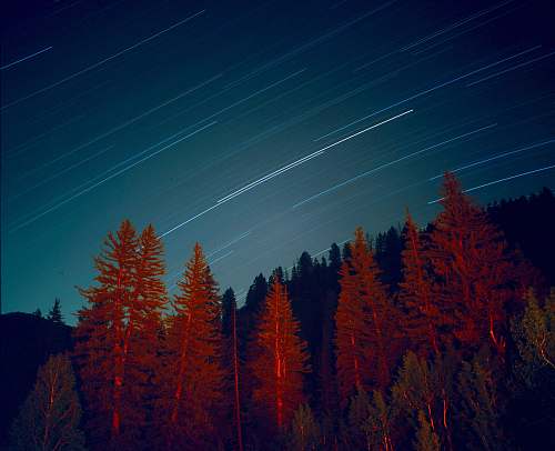 night sky time lapse photo of star trail during nighttime stars